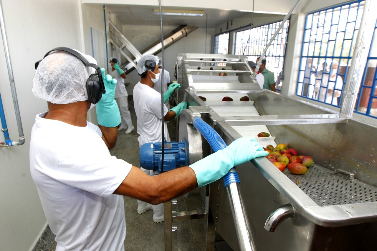 Cite Alguns Exemplos De Produtos Provenientes Da Agroindústria